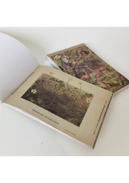 No.11 Tarzı Büyük Vintage Yağlıboya Bloknot Malzeme Kağıt Kitap Önemsiz Dergisi Scrapbooking Kağıt Arka Plan Dekorasyon Kağıdı Kırtasiye (Yurt Dışından)
