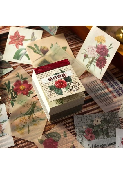 D Tarzı 400 Sayfa Çiçekli Whiser Malzeme Kağıt Retro Film Posteri Bloknot Dekoratif Günlük Kırtasiye Scrapbooking Günlüğü Albümü Etiketli (Yurt Dışından) modelleri