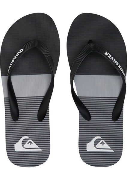 Molokai Tijuana Erkek Terlik AQYL101201 fiyatları