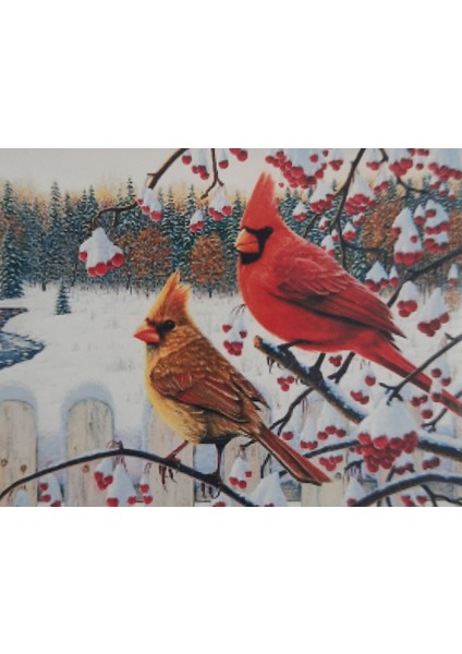 5d Elmas Taş Işleme Kiti 20X30 cm Kardinal Kuşları Desen