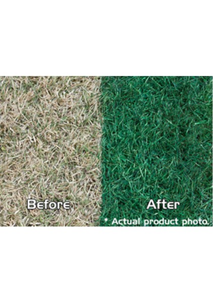 Pigment Renklendirici fırsatları