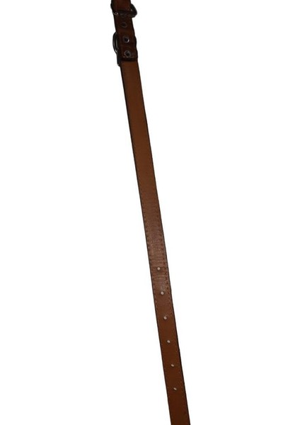 Hakiki Deri Ayarlanır Köpek Boyun Tasma Kahve 2 x 50 cm 15 x 25 kg