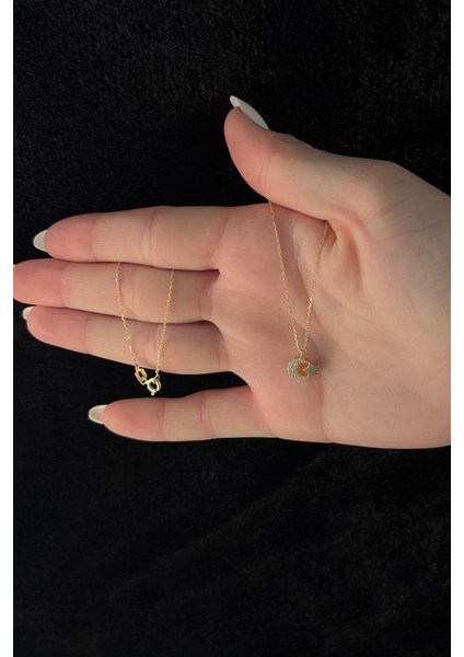 14 Ayar Altın Ay Yıldız Kolye Taşlı fırsatları