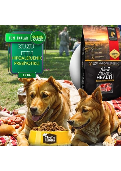 North Atlantic Health – Kuzu Etli Köpek Maması 15 kg Yeni Üretim