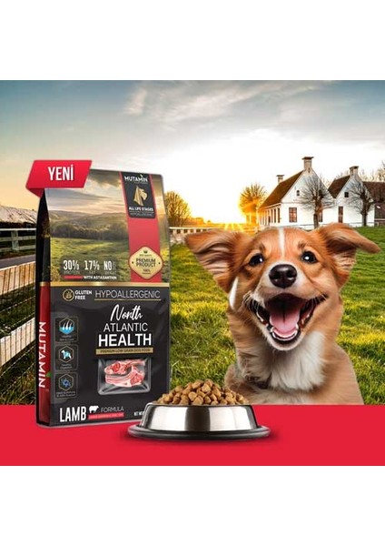 North Atlantic Health – Kuzu Etli Köpek Maması 15 kg Yeni Üretim