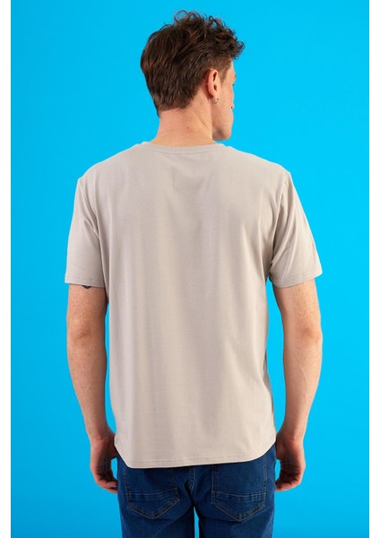 Erkek Ken Buz Gri Bisiklet Yaka Regular Fit Basic Tişört