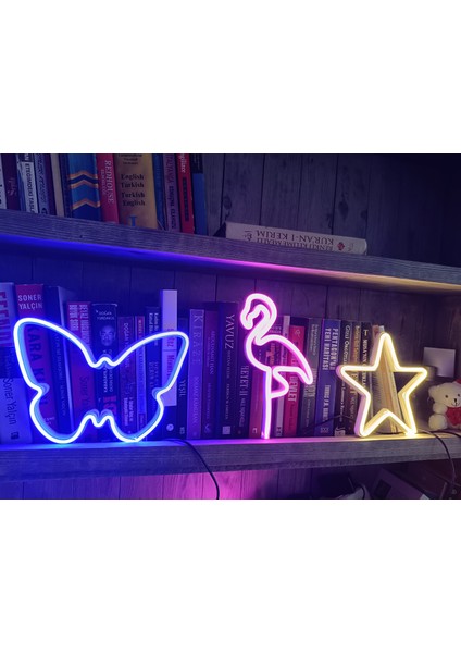 Neon Işıklı