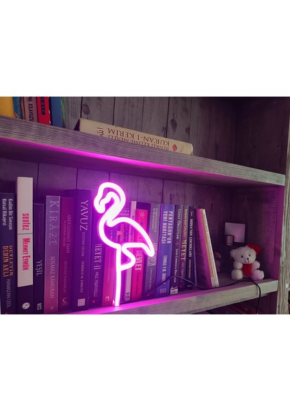 Neon Işıklı modelleri