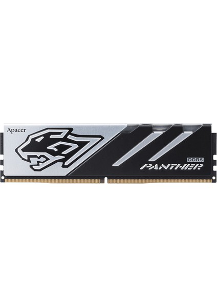 Panther 16GB (1X16GB) 6000MHZ CL40 Ddr5 Gaming Ram (AH5U16G60C5127BAA-1)