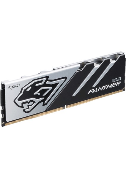 Panther 32GB (2X16GB) 5600MHZ CL40 Ddr5 Gaming Ram (AH5U32G56C5227BAA-2)