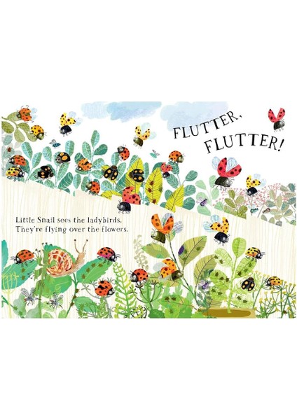 Little Snail's Book of Bugs - Yuval Zommer