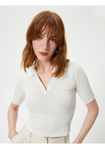 Polo Yaka Kazak Triko Crop Kısa Kollu