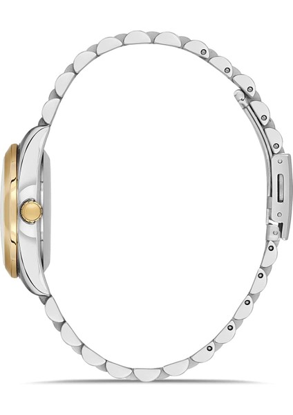 Sarı Gümüş Kaplamalı Gümüş Kadranlı Kadın Kol Saati modelleri