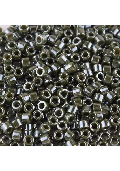 DB1570 Stili Taidian Boncuk Dokuma Japon Delica Boncuk Çok Renkli Boncuklu Kolye Takı Yapımı 3gramslot 1.6x1.3mm (Yurt Dışından)