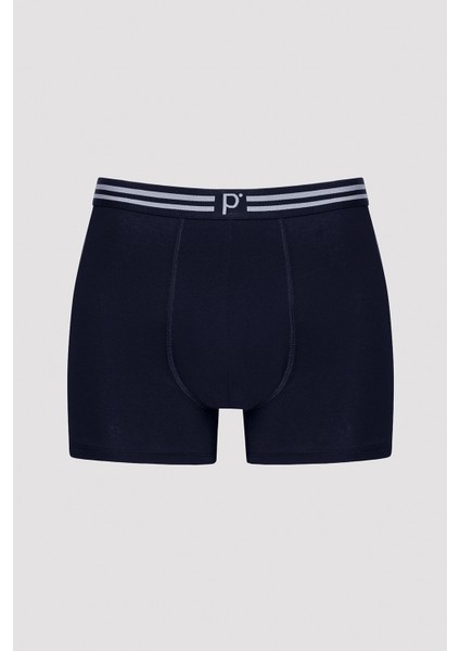 Panel Çok Renkli 3lü Boxer