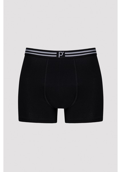 Panel Çok Renkli 3lü Boxer