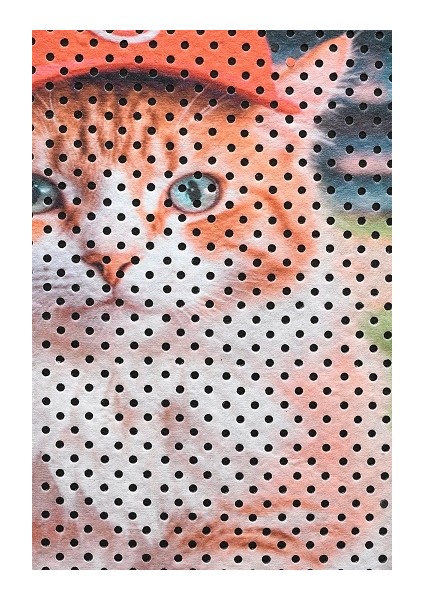 Kedi Kumu Paspası, Delikli Kedi Paspası, Elekli Kedi Tuvaleti Paspası, 40*60