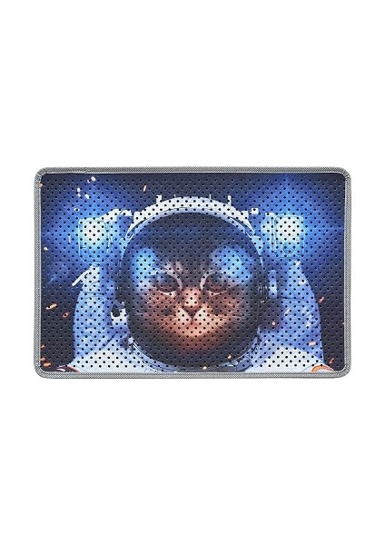 Kedi Kumu Paspası, Delikli Kedi Paspası, Elekli Kedi Tuvaleti Paspası, 40*60