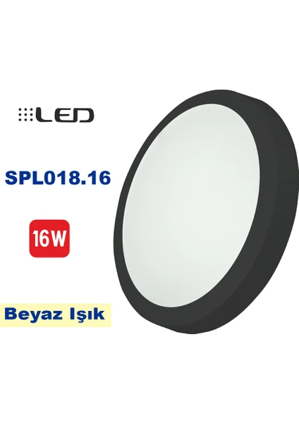 16W LED Glob Tavan Armatürü - Siyah Kasa