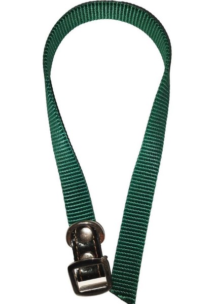 Köpek Boyun Tasma 1,5 cm x 40 cm Yeşil