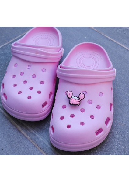 Sevimli Yengeçterlik Süsü