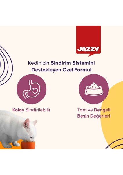 General Cat Yetişkin Kedi Maması Tavuklu 400 gr