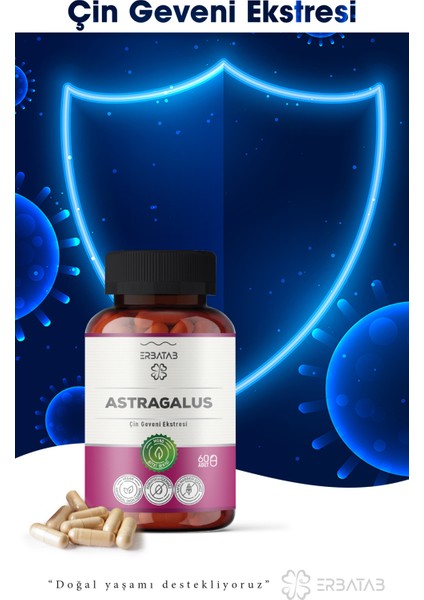 Astragalus Çin Geveni Ekstresi 60 Kapsül