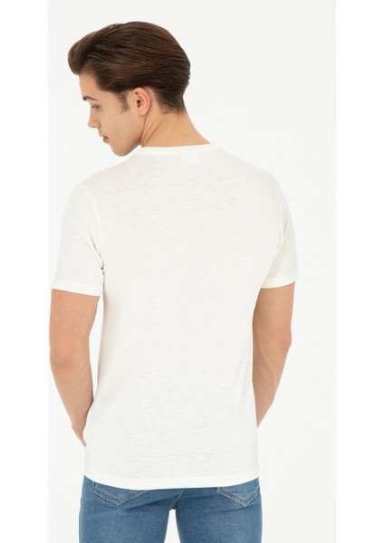 Erkek T-Shirt modelleri