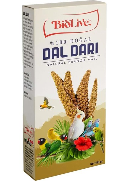 Dal Darısı