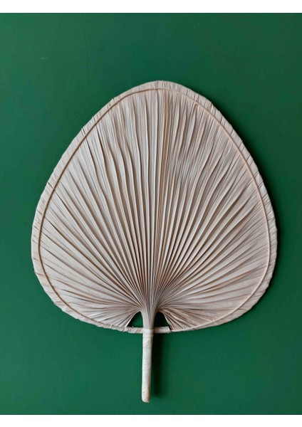 Iskandinav Doğal Palmiye Yaprağı, Bohem Duvar Dekoru 70X55CM