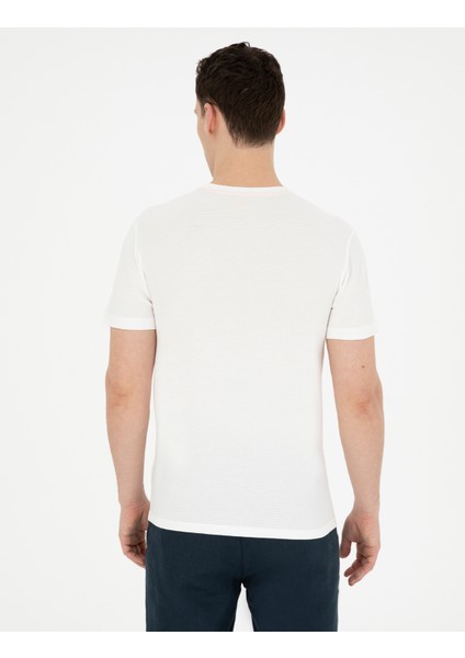 Erkek Ekru Slim Fit Tişört 50280942-VR019 indirimleri