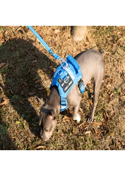 Köpek Tasması G230 Ayarlanabilir Uzunluk Hafif Toka Tasma Emniyet Kemeri Karabina 2.3m