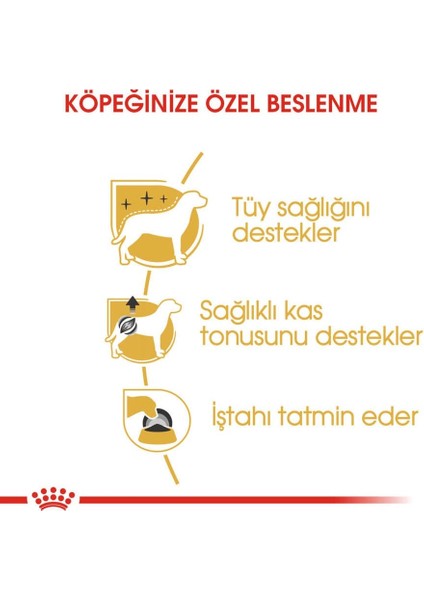 Poodle Yetişkin Köpek Konservesi 85 gr