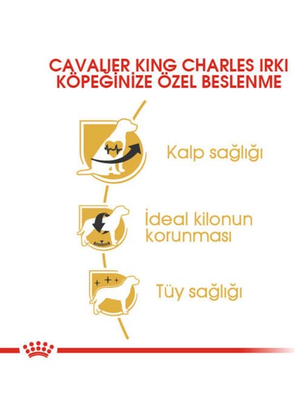 Cavalier King Charles Kuru Köpek Maması 1.5kg