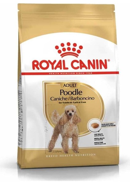 Poodle Yetişkin Kuru Köpek Maması 3kg