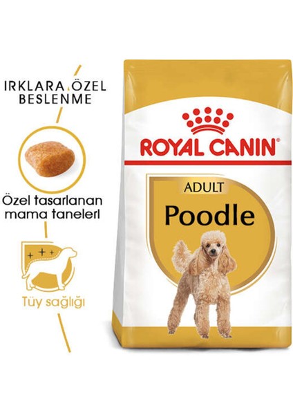 Poodle Yetişkin Kuru Köpek Maması 3kg
