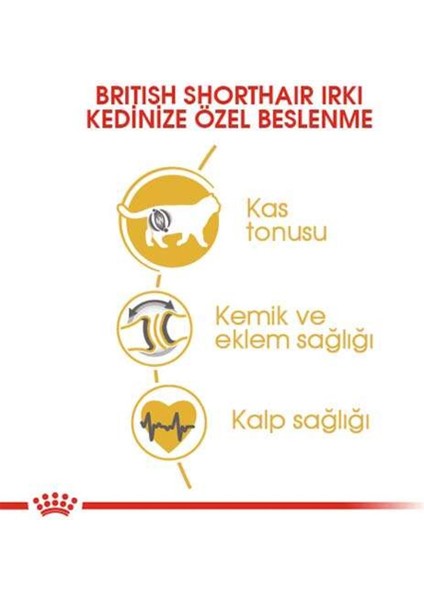 British Shorthair Için Kuru Kedi Maması 10kg