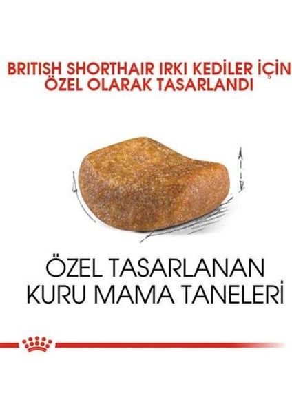 British Shorthair Için Kuru Kedi Maması 10kg
