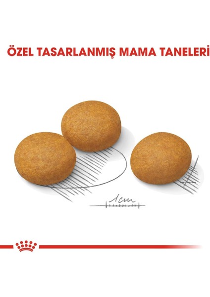 Maxi Dermacomfort Yetişkin Köpek Maması 12 Kg