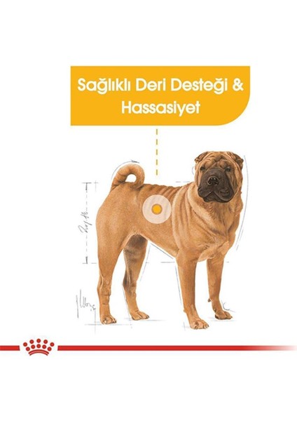 Medium Dermacomfort Yetişkin Köpek Maması 12 Kg