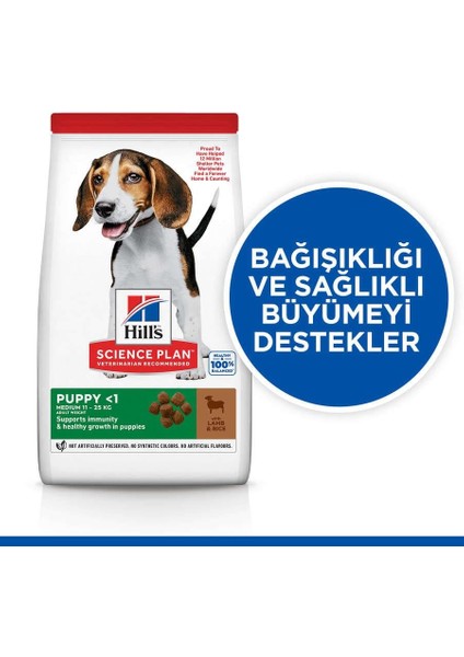 Puppy Lamb Kuzu Etli Yavru Köpek Maması 2,5 Kg