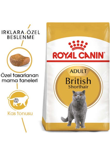 Royal Canin British Shorthair Kedi Maması 2 Kg