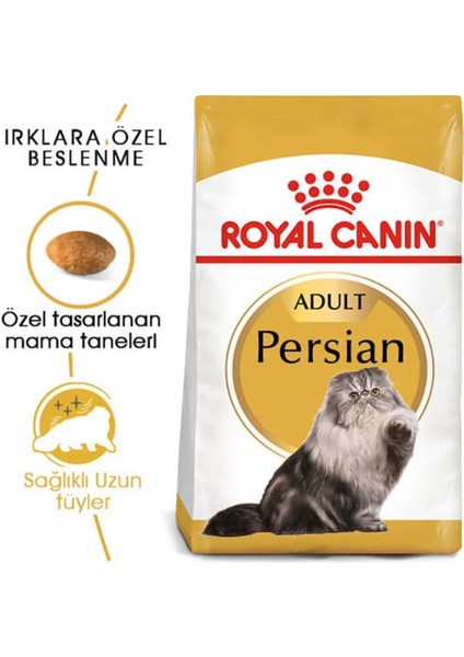 Persian Adult Kuru Kedi Maması 10 Kg