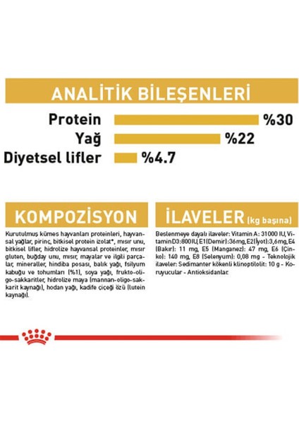 Persian Adult Kuru Kedi Maması 10 Kg