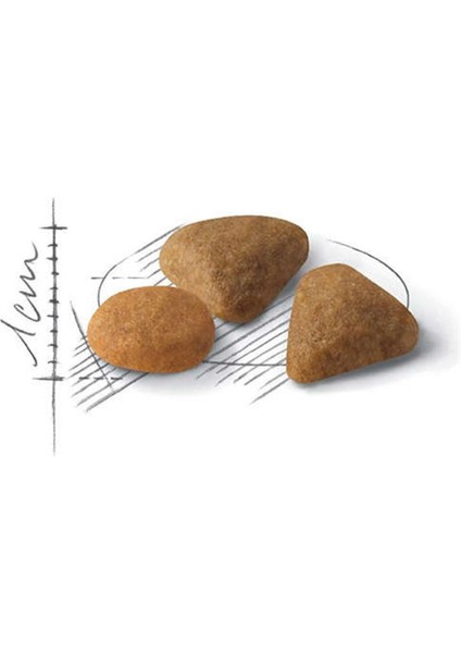 Savour Exigent Seçici Kedi Maması 400 Gr