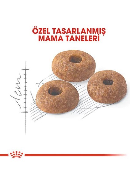 Royal Canin Fit 32 Yetişkin Kedi Maması 400+400 gr