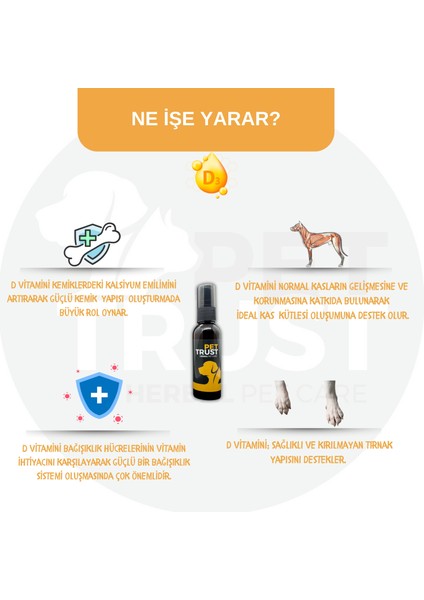 Pettrust Herbal Pet Care Kedi ve Köpekler Için Organik Vitamin-D Takviyesi 40 ml