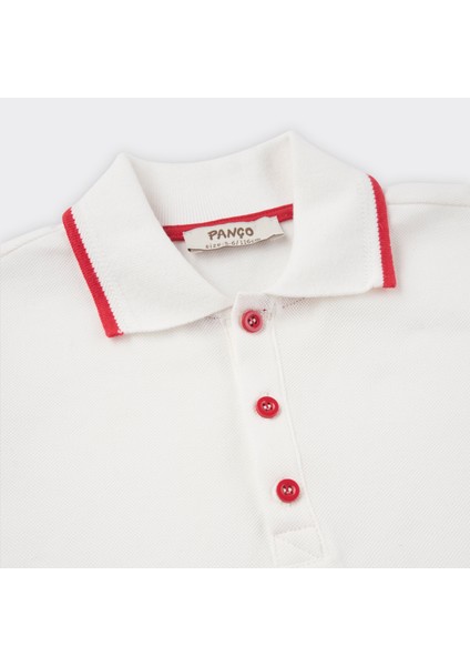 Yakalı Kısa Kollu T-Shirt fiyatları