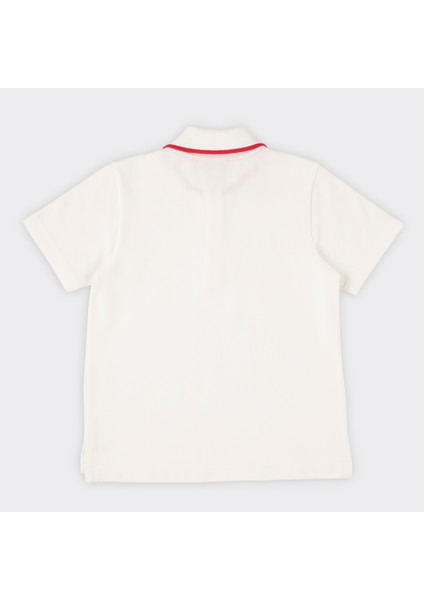 Yakalı Kısa Kollu T-Shirt modelleri