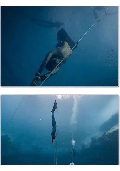 Kırmızı Stil N0HA Tüplü Dalış Bilek Bandı Naylon Dokuma Kemer Sticker Paslanmaz Çelik D-Ring Kayış (Yurt Dışından) indirimleri